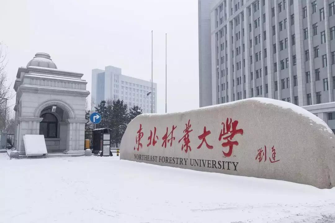 东北林业大学